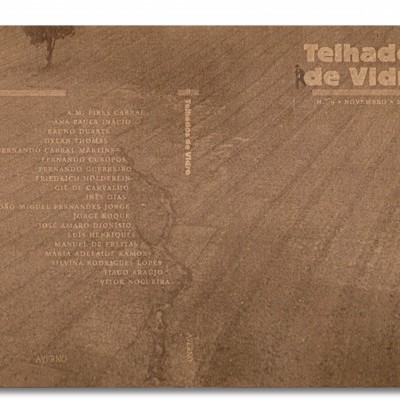 Telhados de Vidro Nº9