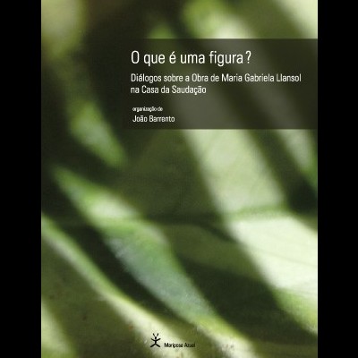 Capa de livro verde com texto branco e amarelo 'O que é uma figura?' e nomes de autores