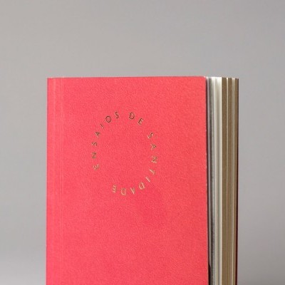 Ensaios de Santidade