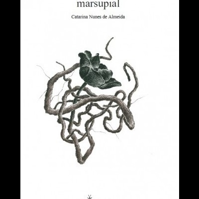 Marsupial
