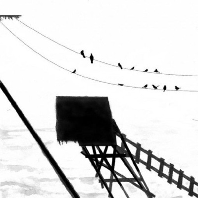 Penas Pesadas da Neve