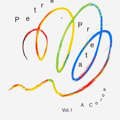 #aseriesofprotectivestyles - Vol. I - A Coroa