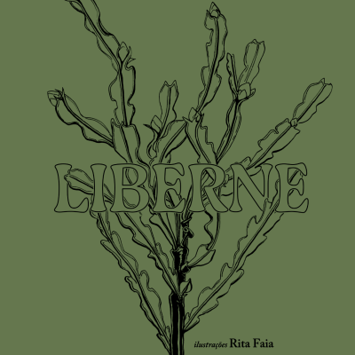 Liberne – Histórias dos montes baldios