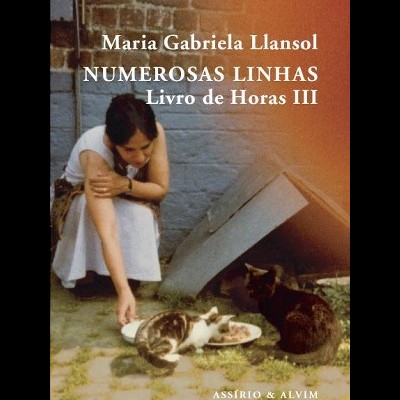 Numerosas Linhas: Livro de Horas III
