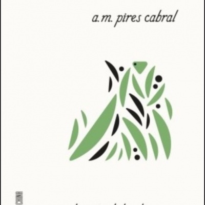 Caderneta de Lembranças - A. M. Pires Cabral