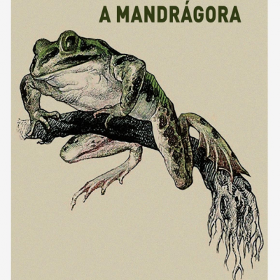 A Mandrágora