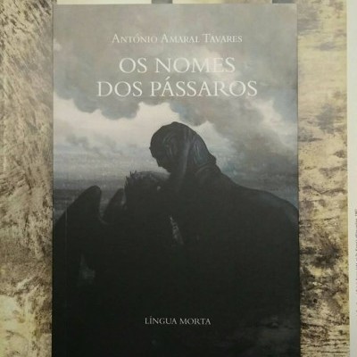 Os Nomes dos Pássaros