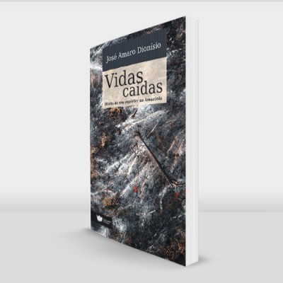 Livro 'Vidas caídas' de João Madeira com capa cinzenta abstrata em fundo cinza claro