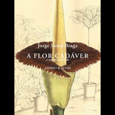 A Flor Cadáver e outros poemas