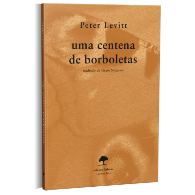Uma Centena de Borboletas