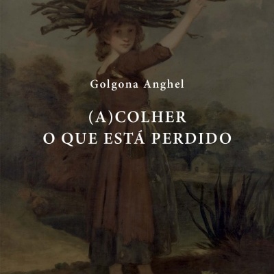(A)colher o que está perdido
