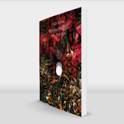 Pingue-Pongue no Terraço