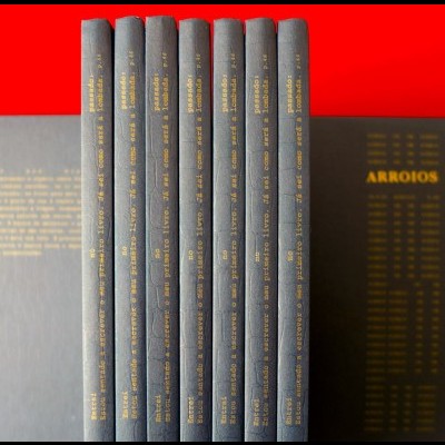 Conjunto de oito livros cinzentos com texto dourado em fundo vermelho e dois livros abertos