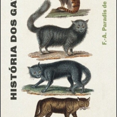 História dos Gatos