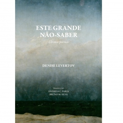 Este Grande Não-Saber