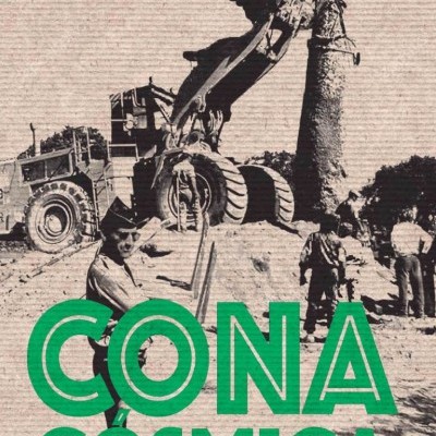Cona Cósmica