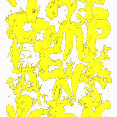 The Complex Answer - On Art as a Nonbinary Intelligence