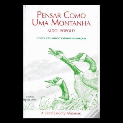 Pensar como uma montanha