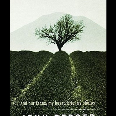 And Our Faces, My Heart, Brief As Photos