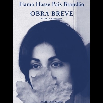 Obra Breve
