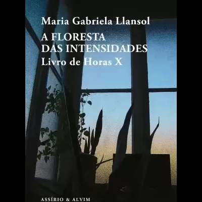 A Floresta das Intensidades - Livro de Horas X