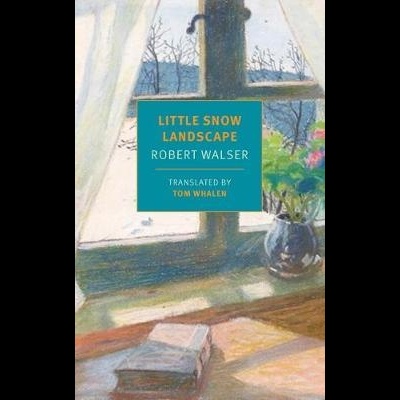 Little Snow Landscape