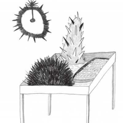 Fragility: To Touch and Be Touched