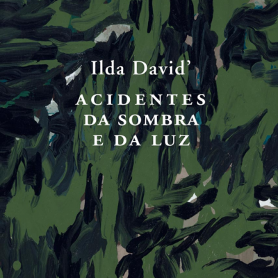 Acidentes da Sombra e da Luz - Ilda David