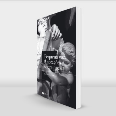 Pequena voz. Anotações sobre poesia