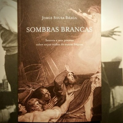 Livro 'Sombras Brancas' de Jorge Sousa Braga com capa ilustrada em tons castanhos e bege