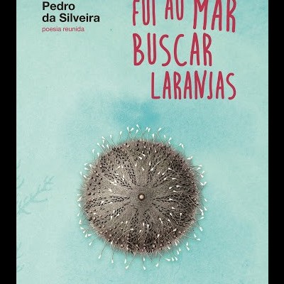 Capa de livro azul claro com título vermelho, autor e imagem de ouriço do mar