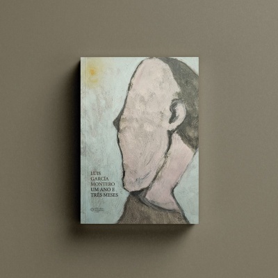 Um Ano e Três Meses