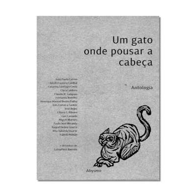 UM GATO ONDE POUSAR A CABEÇA