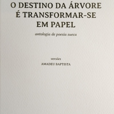 O Destino da Árvore é Transformar-se em Papel