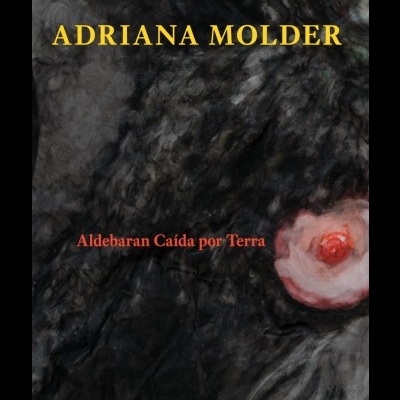 Aldebaran Caída por Terra 