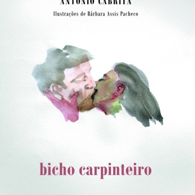 Bicho Carpinteiro