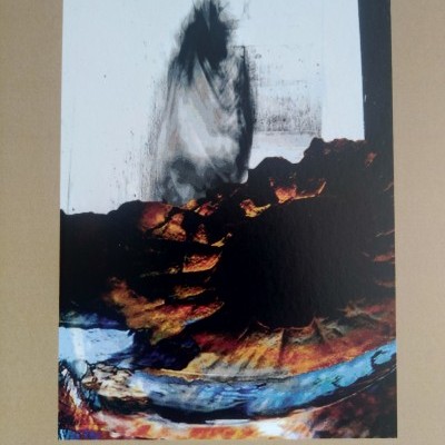 Si Dispensa Dai Fiori