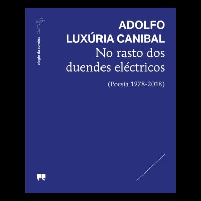 No Rasto dos Duendes Eléctricos