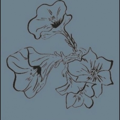 Nem - Isto - Nem - Aquilo