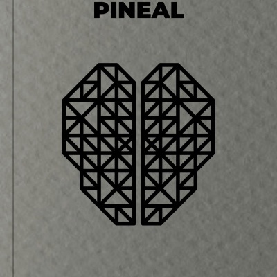 Foldulogia Pineal