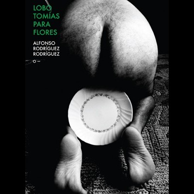 Lobo Tomías Para Flores