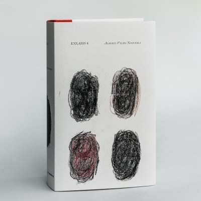 Ensaios 4 // Alberto Velho Nogueira