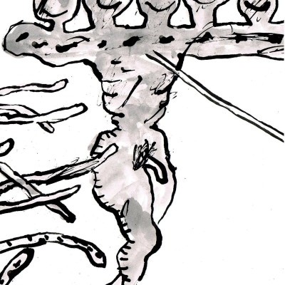 Putrefacção e Fósforo | Coração Cru