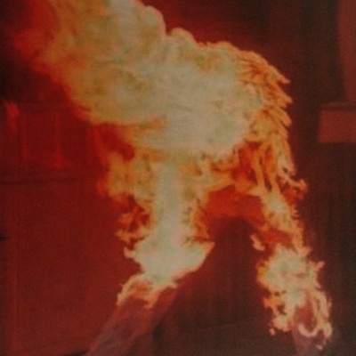 Metal de Fusão - Fernando Guerreiro