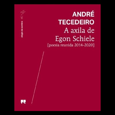 A axila de Egon Schiele
