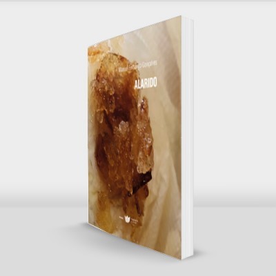 Capa de livro com imagem de pedra ou cristal em tons castanhos e título AMORO