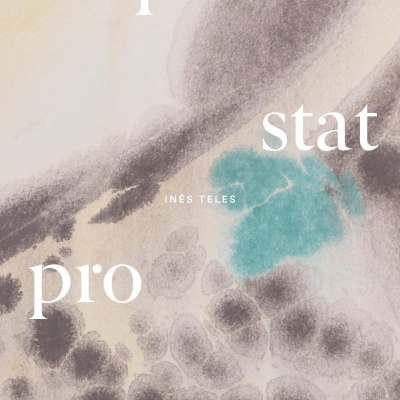 aliquid stat pro aliquo