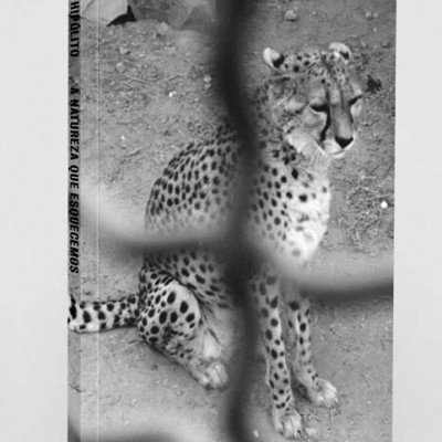 A natureza que esquecemos