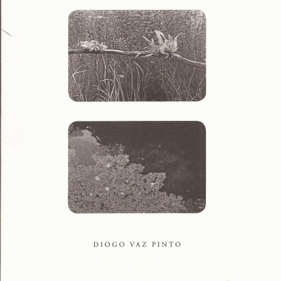 O Cerco dos Animais Que Juram