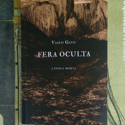 Capa do livro Fera Oculta de Vasco Gato com desenho em tons castanhos e pretos